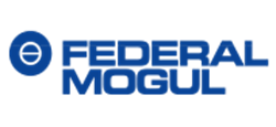 Federal Mogul